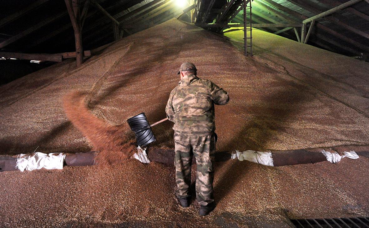 Россия ограничила вывоз твердой пшеницы до конца мая