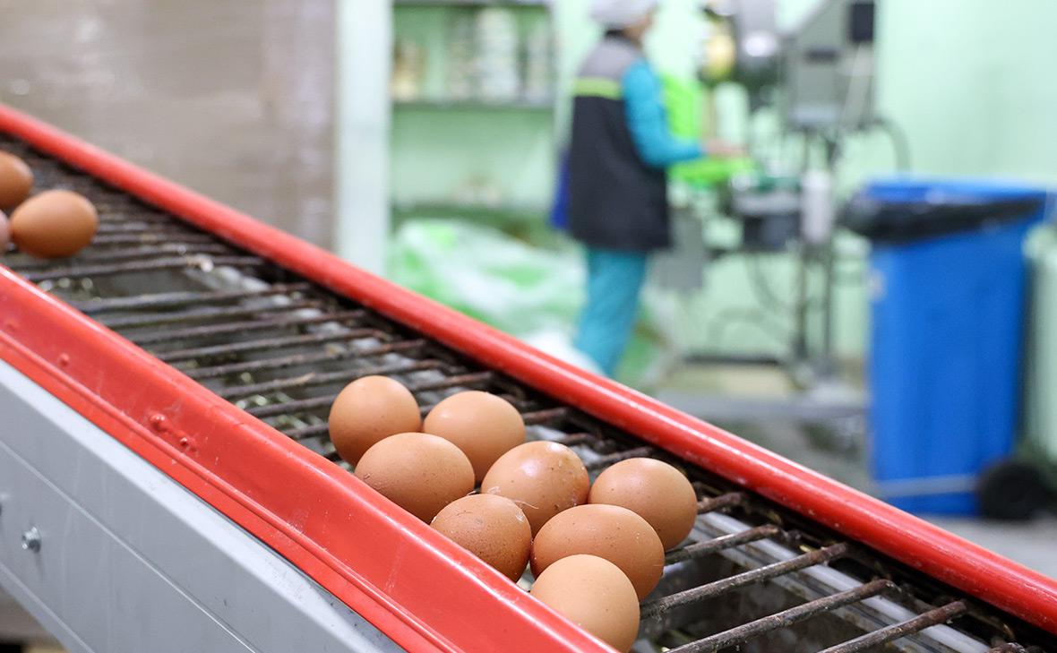 В двух регионах ФАС возбудила дела против производителей яиц