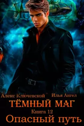 Тёмный маг — книга 12. Опасный путь