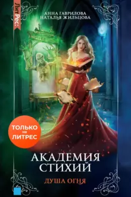Академия Стихий. Душа Огня